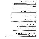 Fuente pc Asus TUF Gaming 750W 80 Plus Gold PCIe 5.0 ATX 3.1 Modular-2.webp