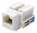 Jack roseta RJ45 para pared cat 6 Belden